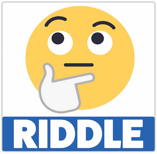 RIDDLE Logo