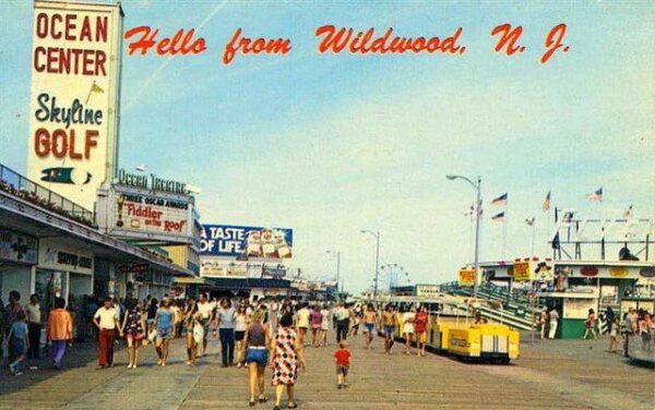 Wildwood